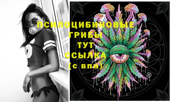 2c-b Абаза
